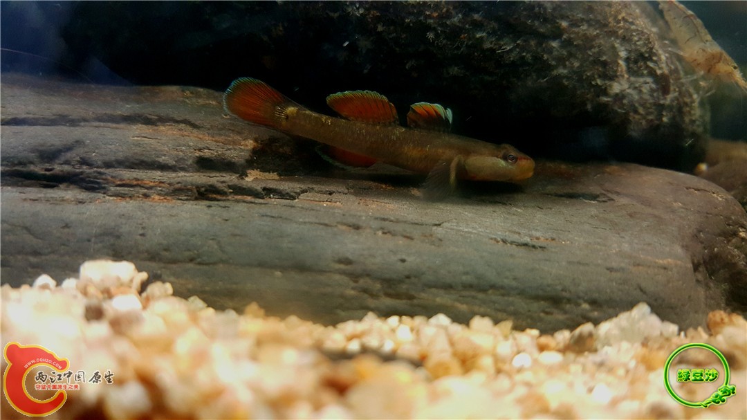 2016-05-02 17.11.57.jpg