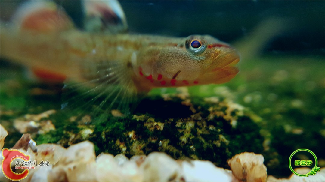 2016-05-02 18.15.40.jpg