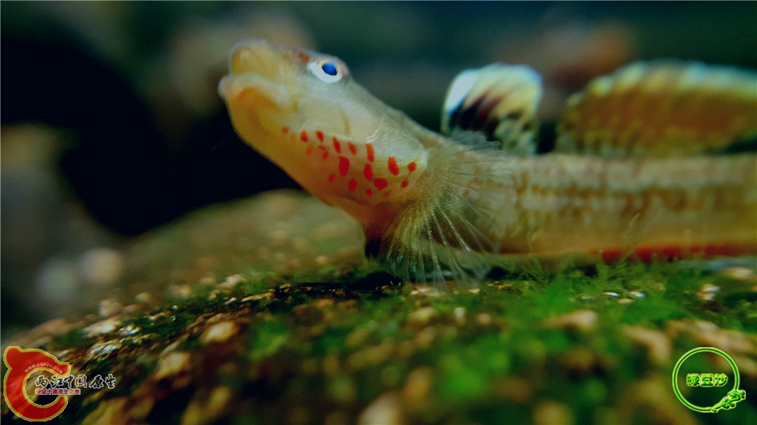 2016-05-02 18.16.30.jpg