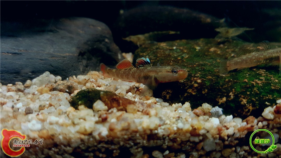 2016-05-02 18.20.10.jpg