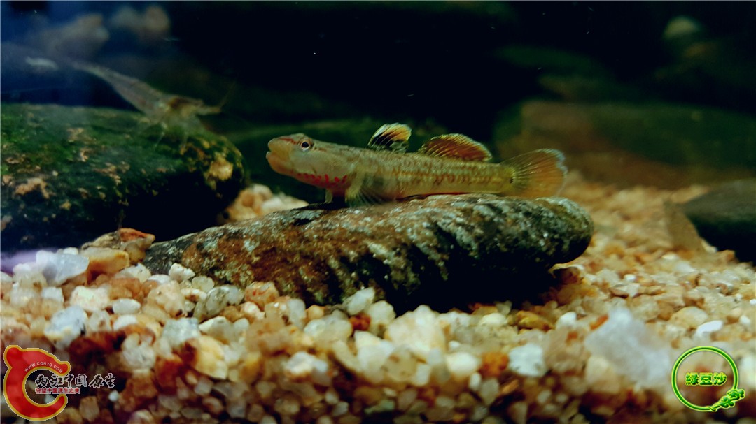 2016-05-02 18.21.12.jpg