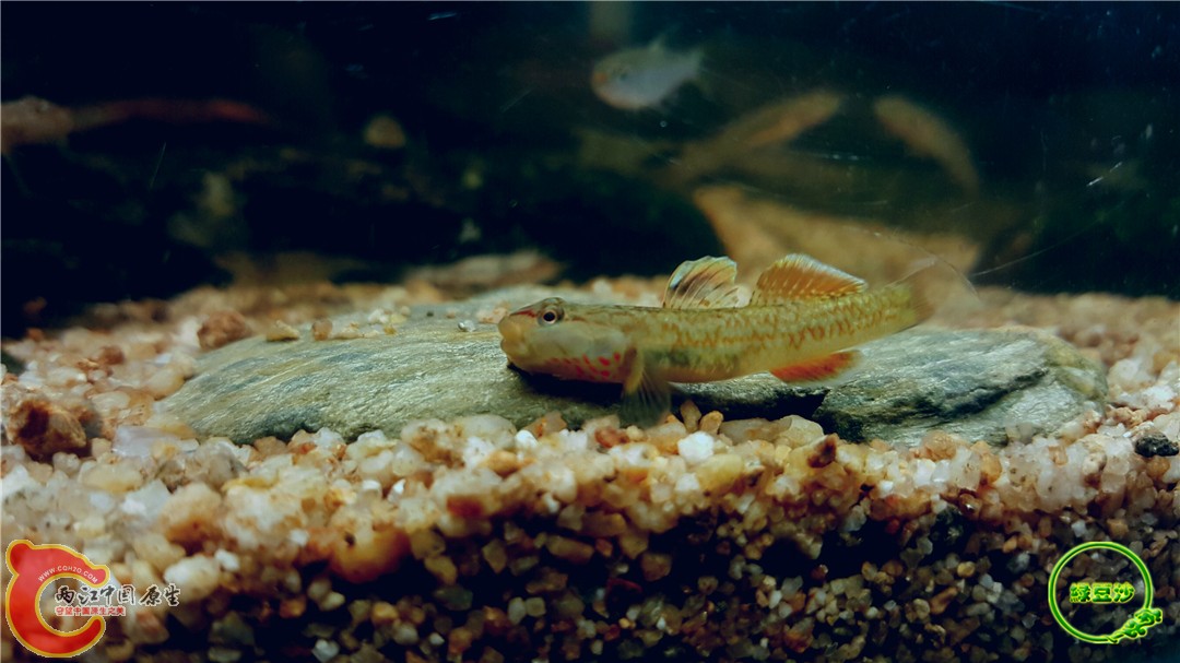 2016-05-02 18.22.23.jpg