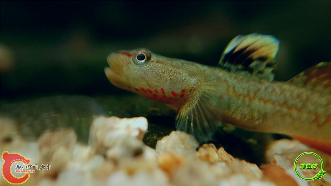 2016-05-02 18.22.38.jpg