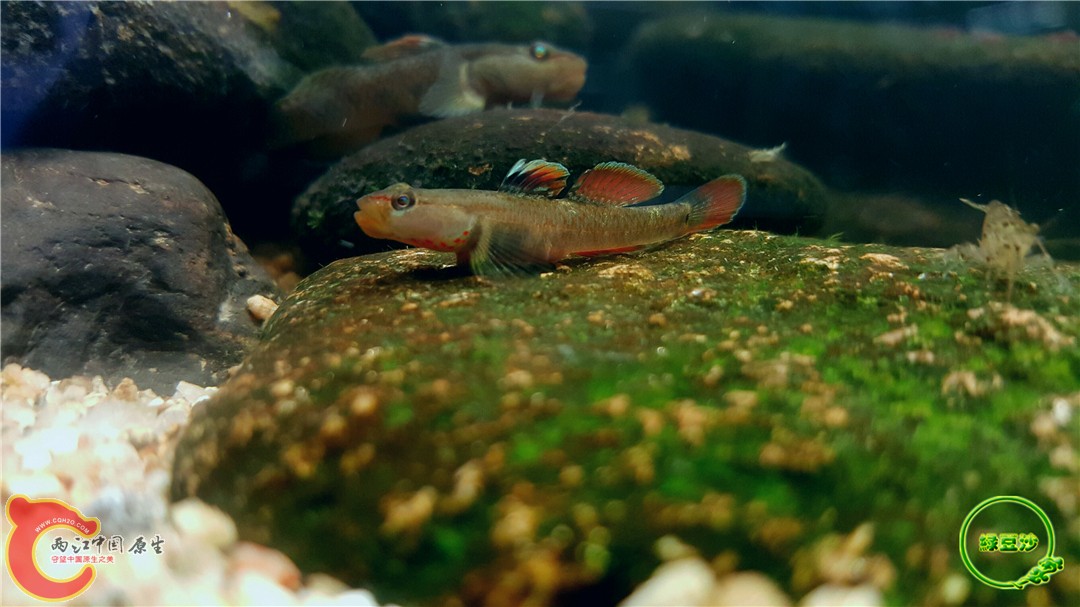 2016-05-02 18.23.00.jpg