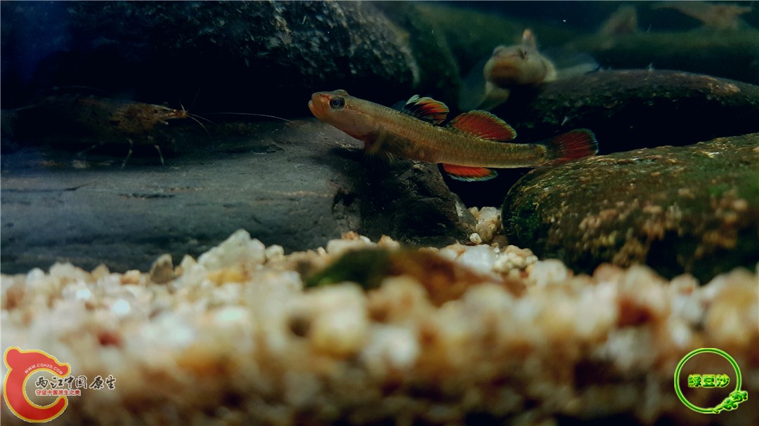 2016-05-02 18.25.14.jpg