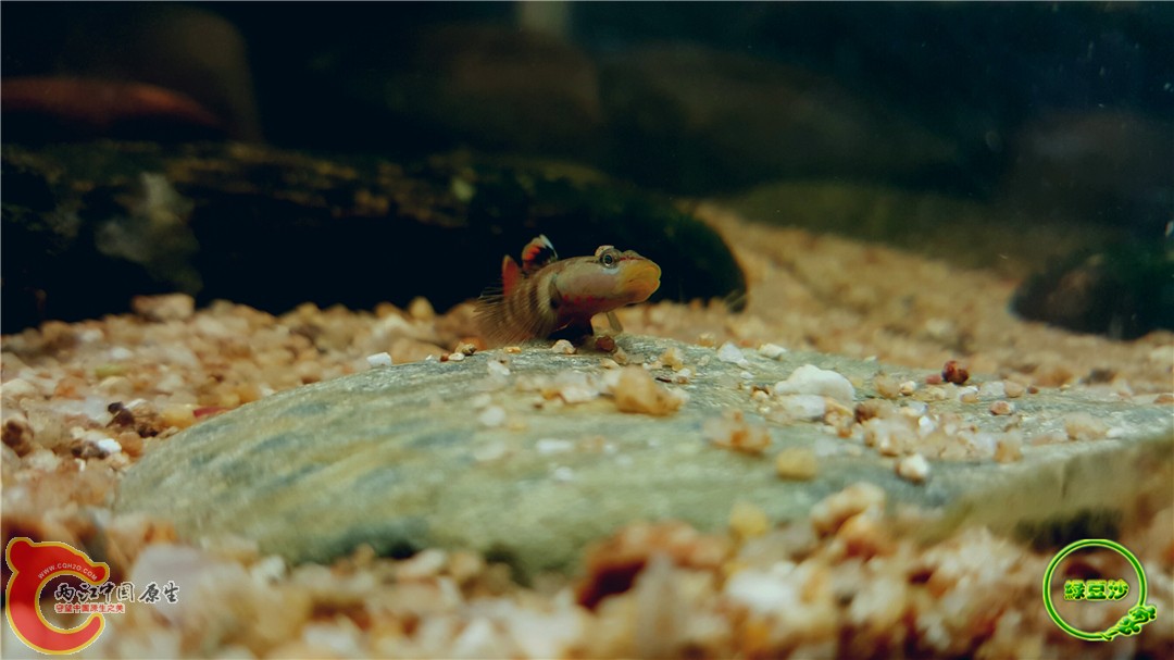 2016-05-02 18.30.50.jpg