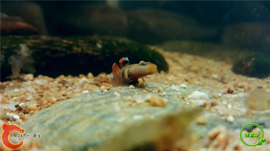 2016-05-02 18.31.18.jpg