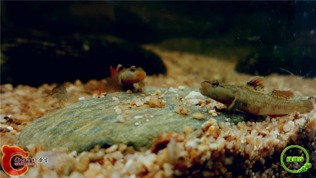 2016-05-02 18.32.44.jpg