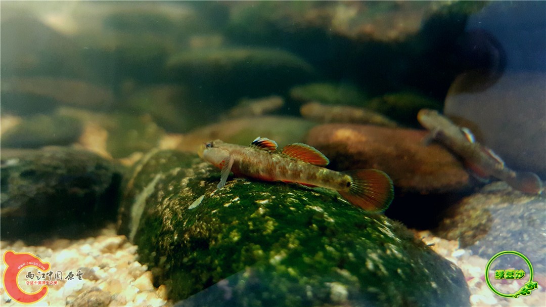 2016-05-02 18.33.37.jpg