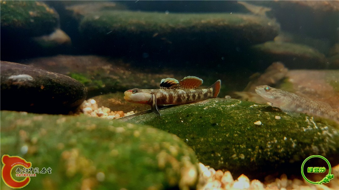 2016-05-02 18.54.15.jpg