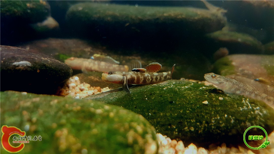 2016-05-02 18.54.34.jpg