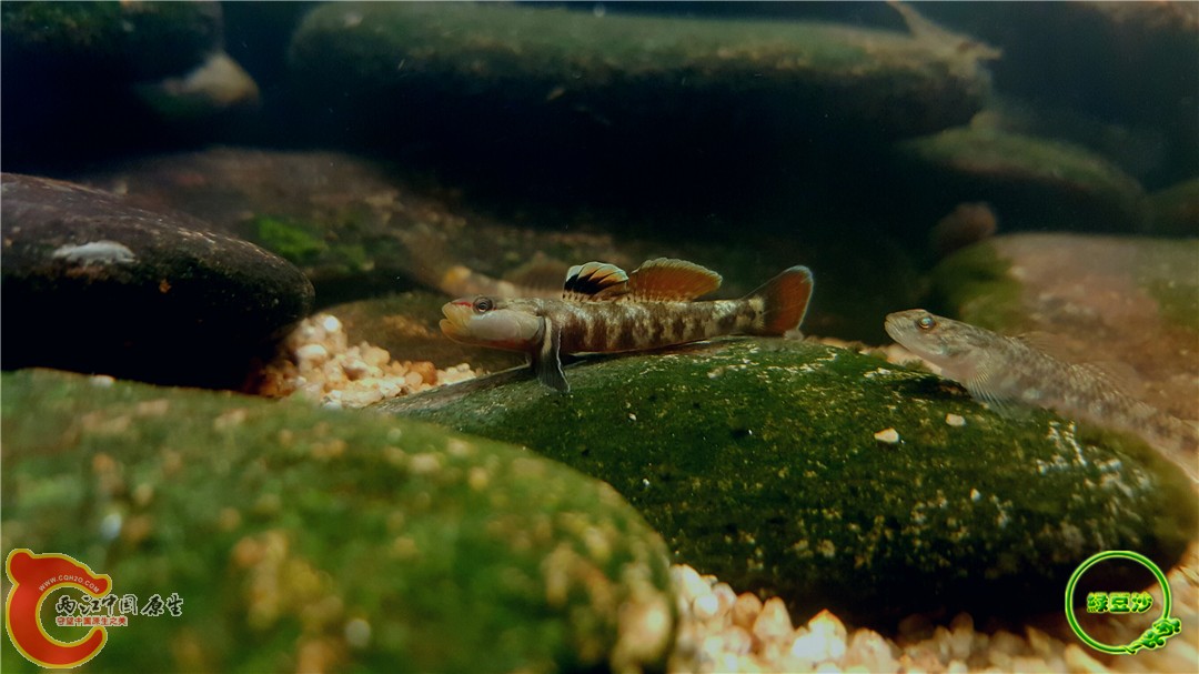 2016-05-02 18.55.03.jpg