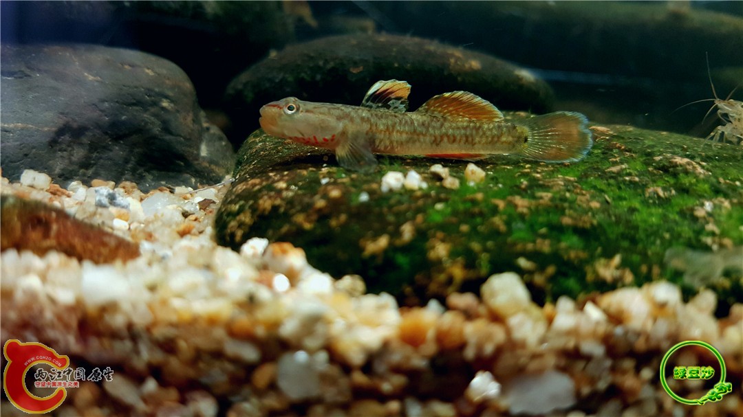 2016-05-02 18.56.31.jpg