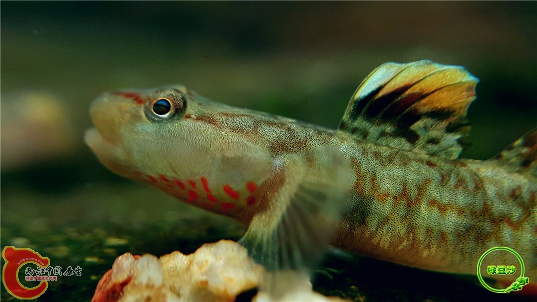 2016-05-02 18.59.32.jpg