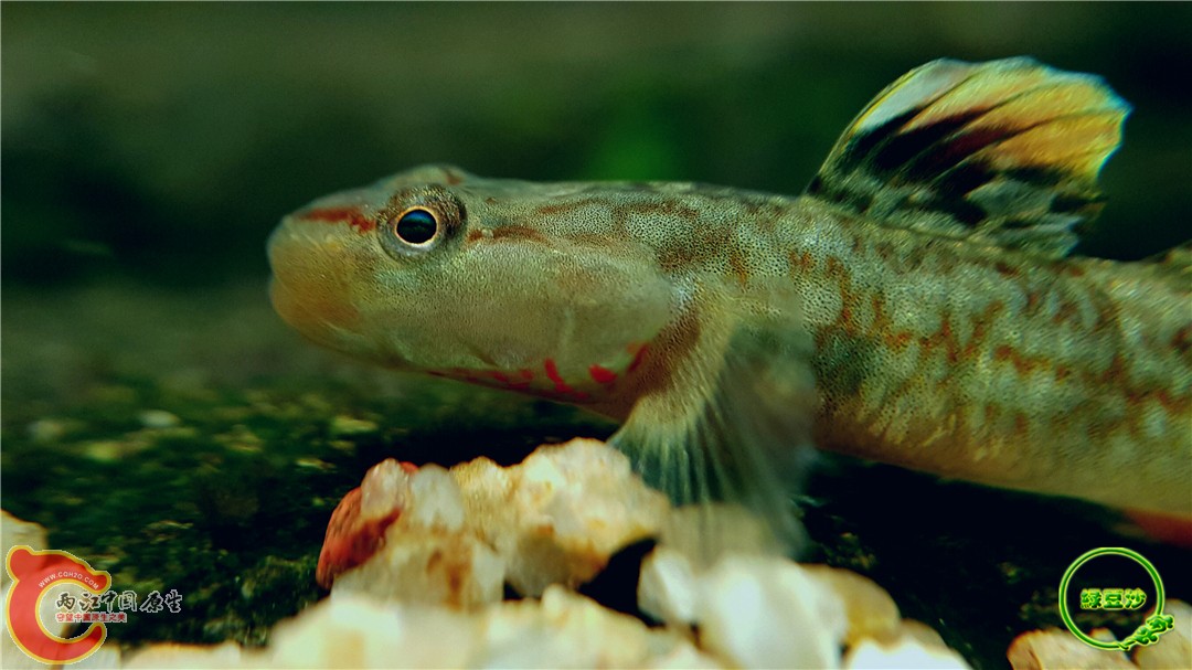 2016-05-02 18.59.49.jpg