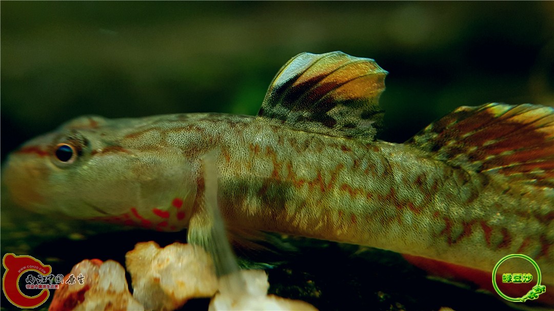 2016-05-02 19.00.03.jpg