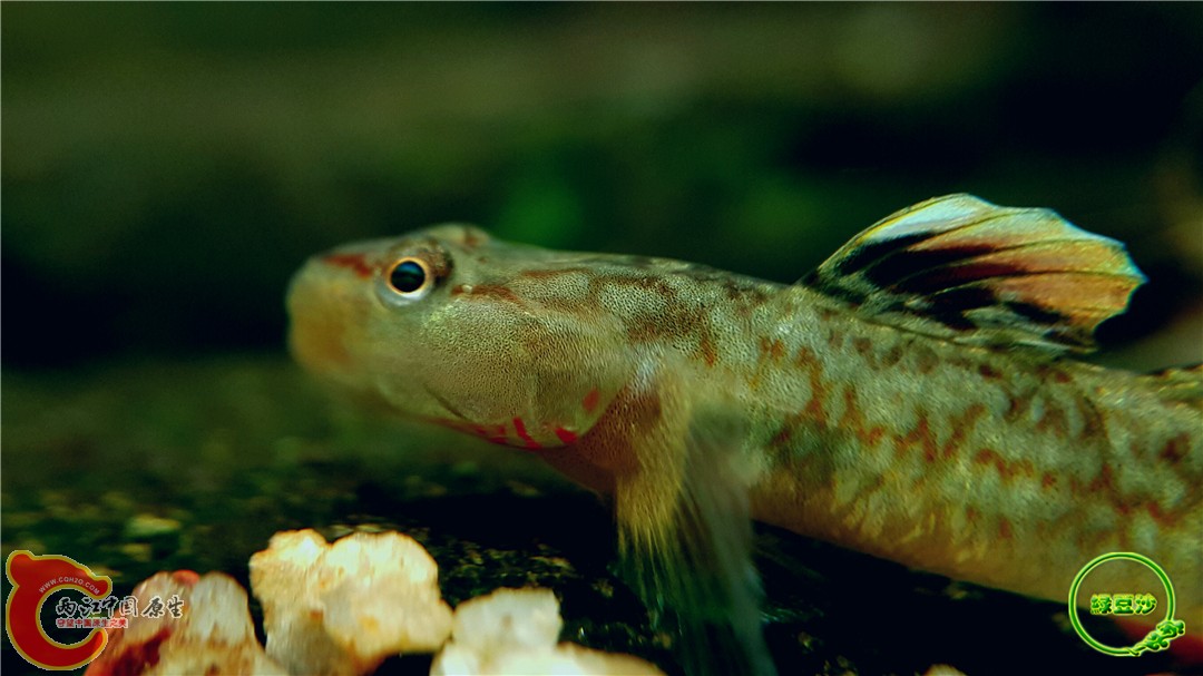 2016-05-02 19.00.21.jpg