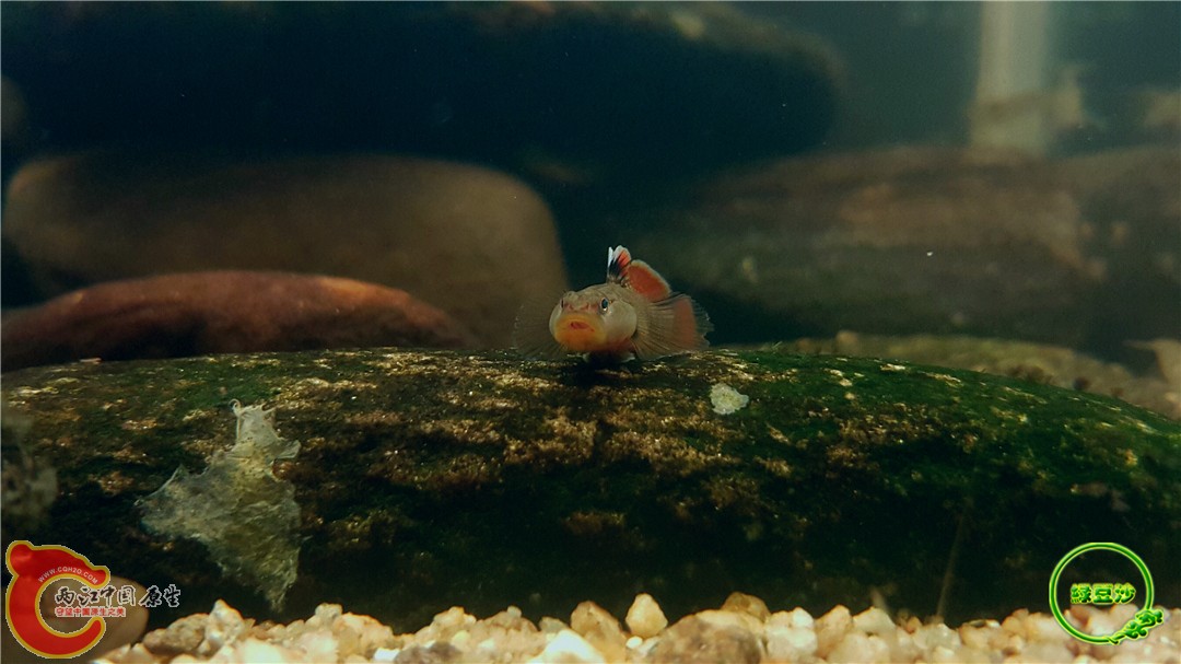 2016-05-02 19.01.12.jpg