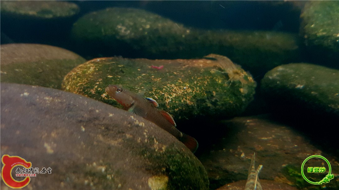 2016-05-02 23.39.05.jpg