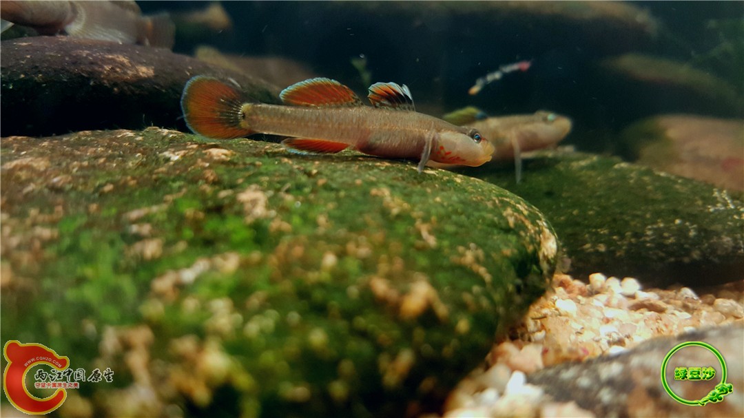 2016-05-02 23.39.41.jpg