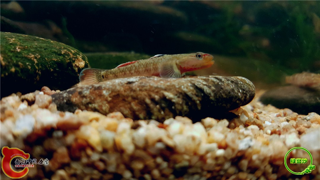 2016-05-02 23.40.28.jpg