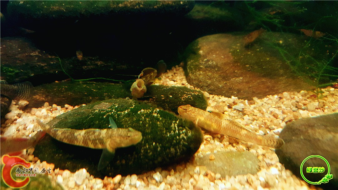 2016-05-02 23.41.17.jpg