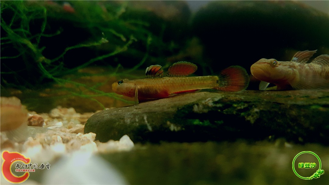 2016-05-03 23.14.35.jpg