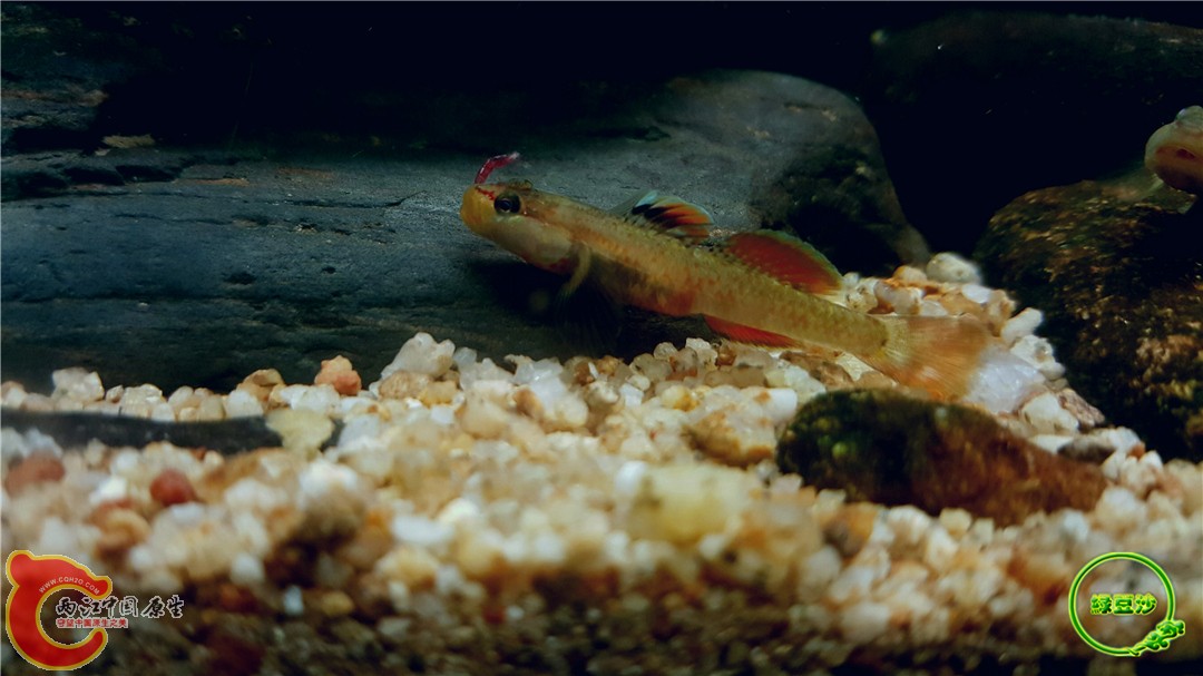 2016-05-03 23.15.36.jpg