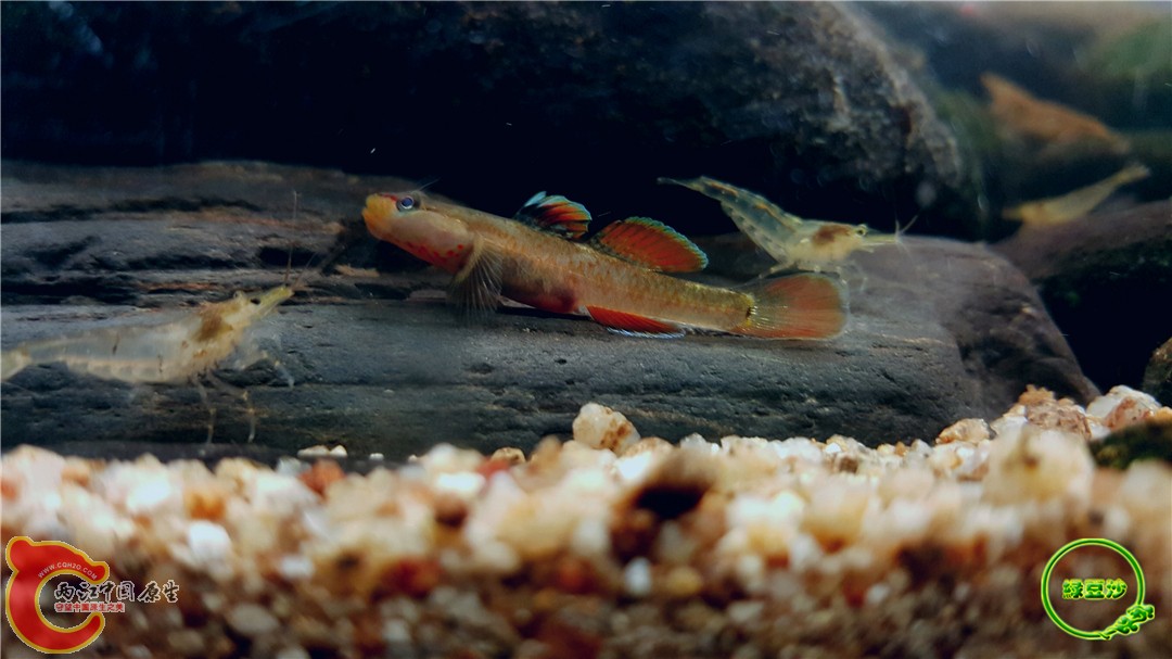 2016-05-03 23.18.32.jpg