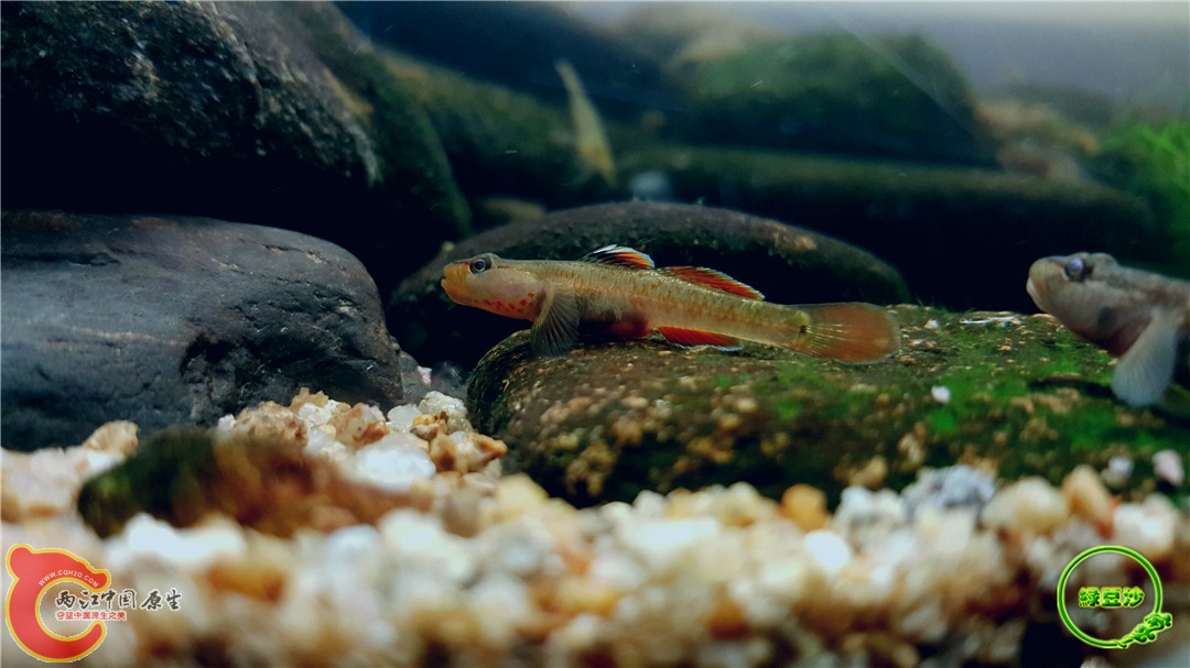 2016-05-03 23.21.17.jpg