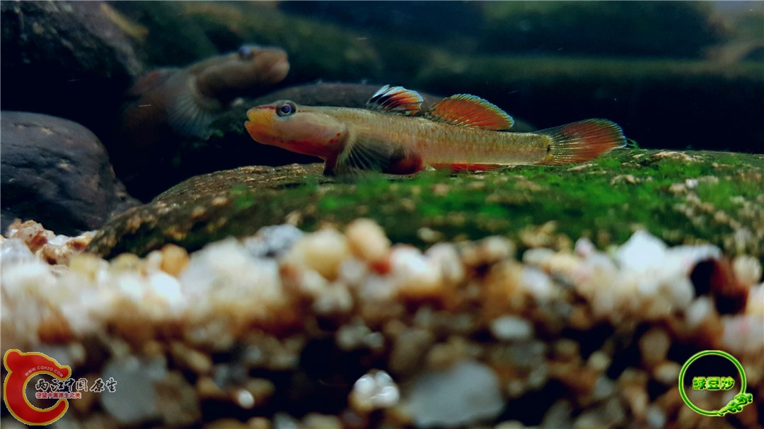 2016-05-03 23.23.40.jpg