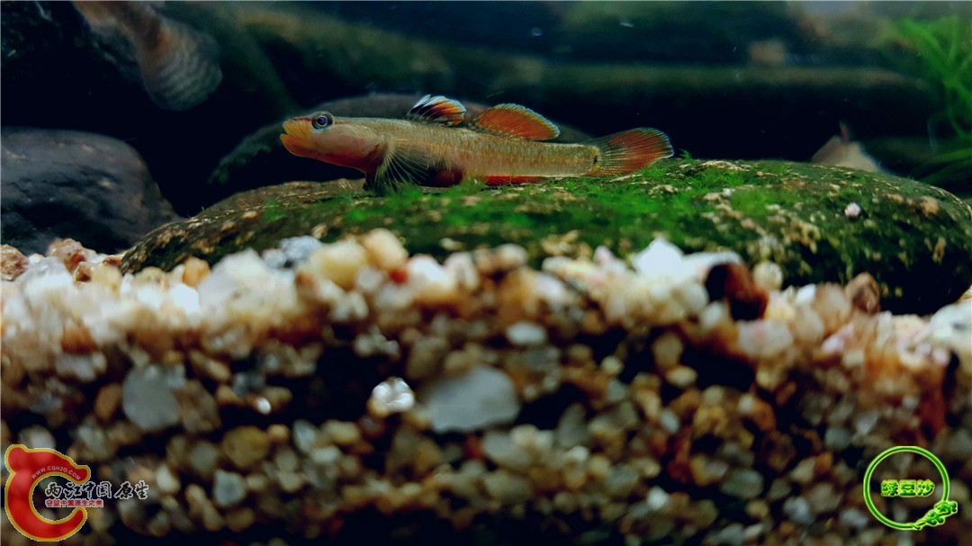 2016-05-03 23.24.11.jpg