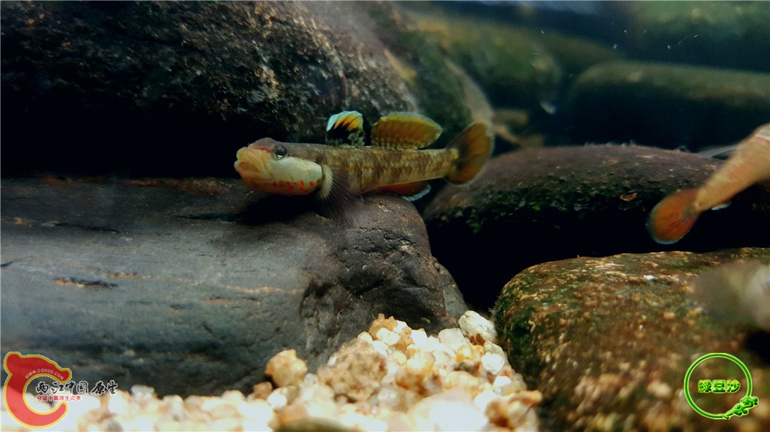 2016-05-03 23.26.44.jpg