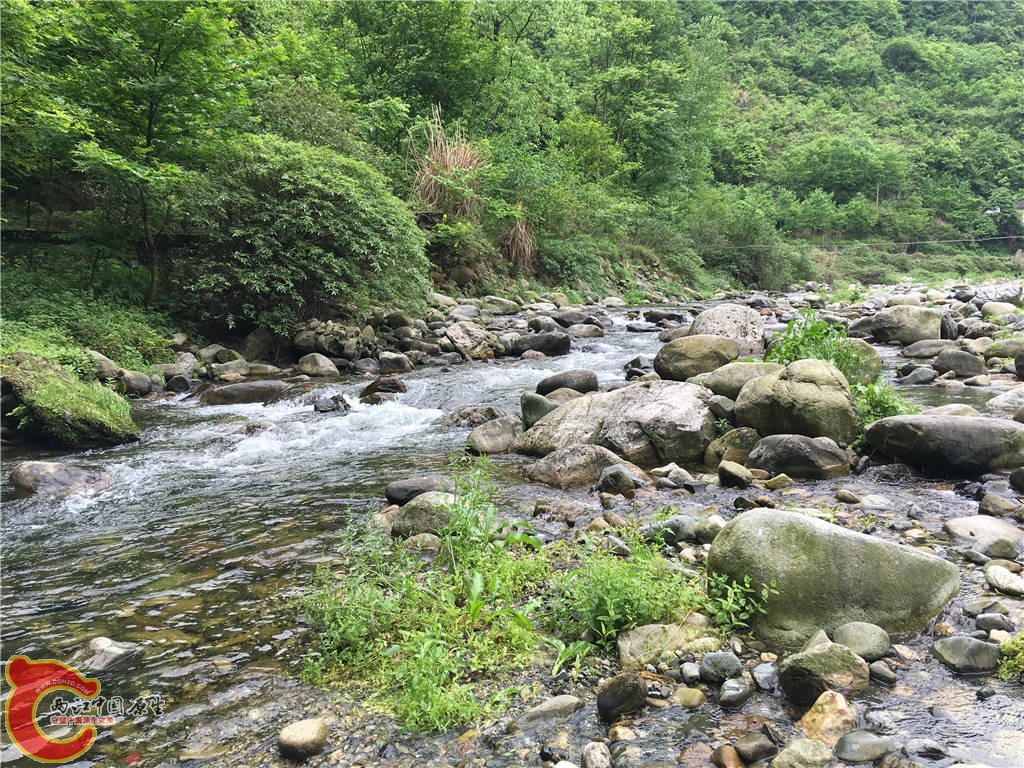 原生地溪流