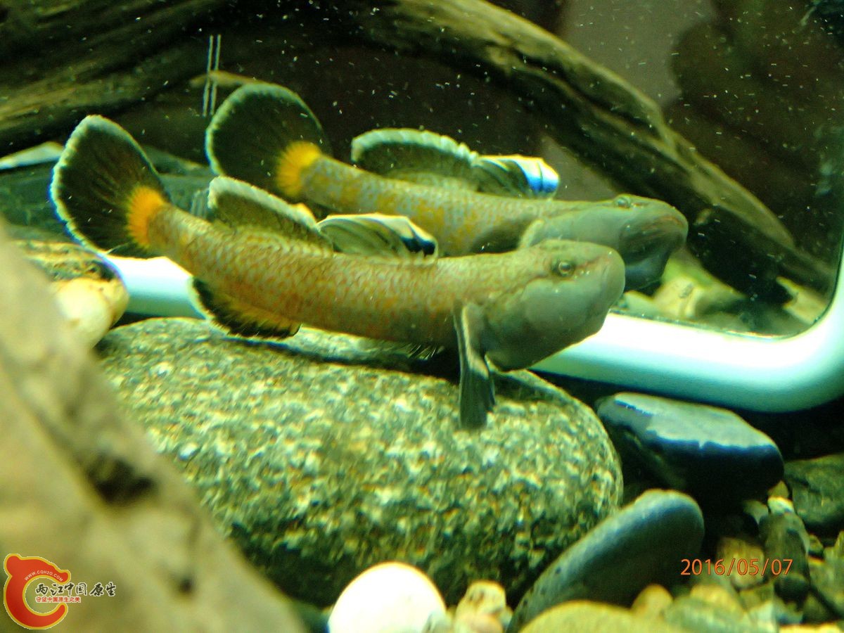 P5070966_副本_副本.jpg