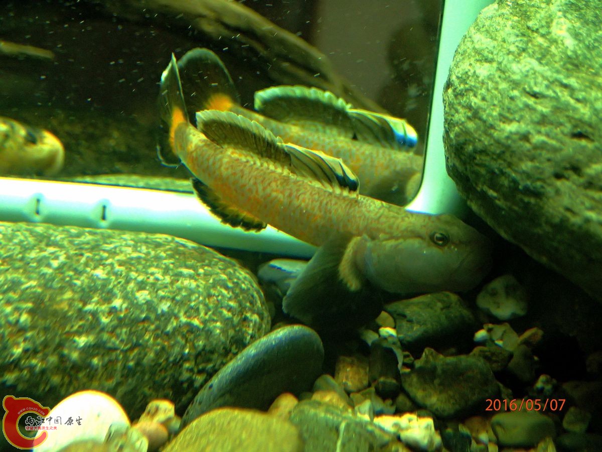 P5070967_副本_副本.jpg