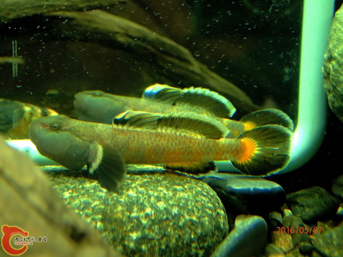 P5070958_副本_副本.jpg