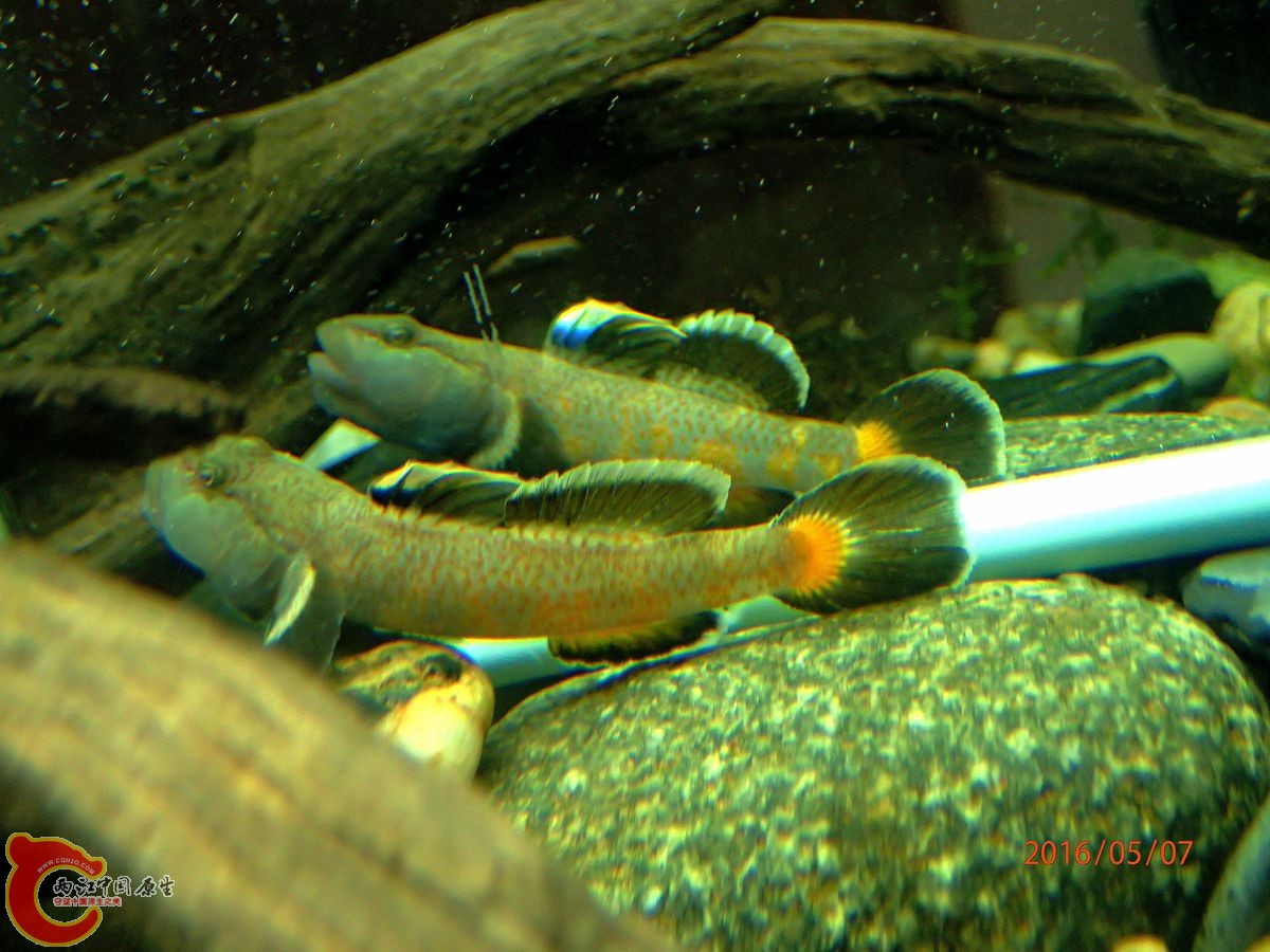 P5070961_副本_副本.jpg