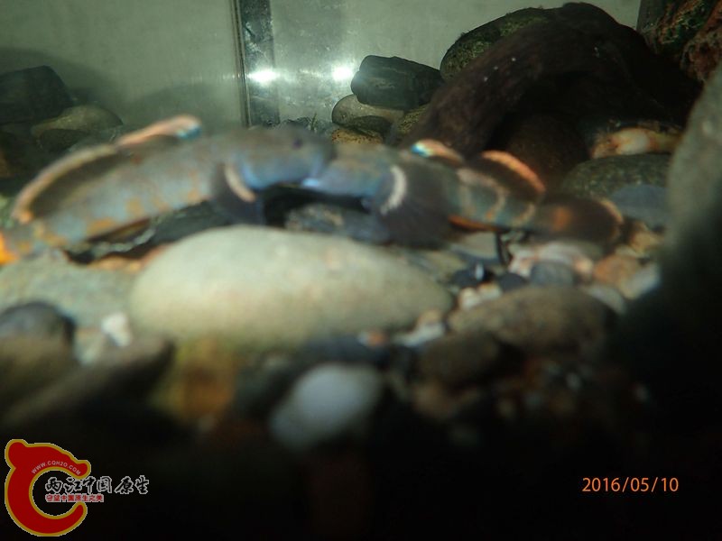 QQ图片20160510220257_副本.jpg