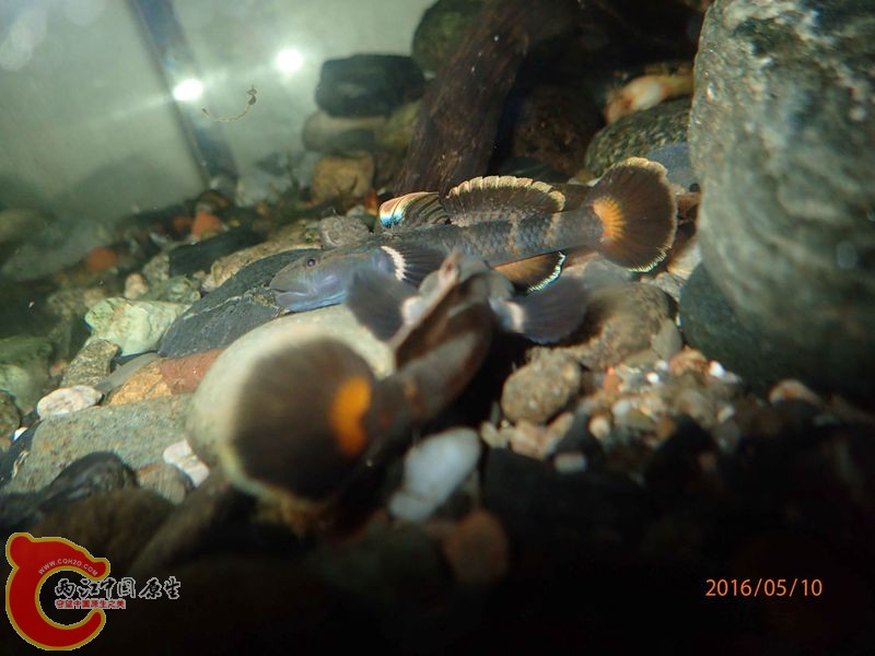 QQ图片20160510220326_副本.jpg