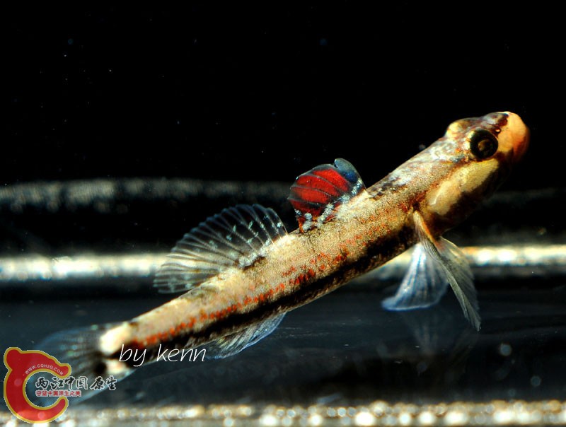 DSC_5370.JPG