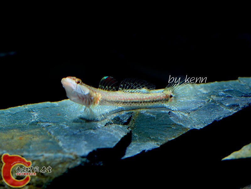 DSC_5564.JPG
