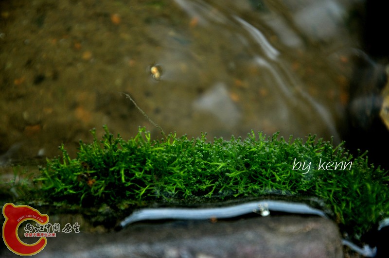 DSC_8086.JPG