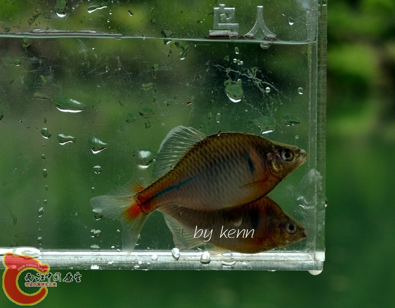 DSC_8090.JPG