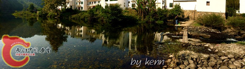 IMG_1701.JPG