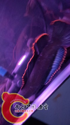 IMG20160508181802.jpg