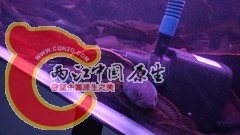IMG20160508181844.jpg
