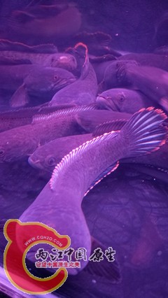 IMG20160508181920.jpg