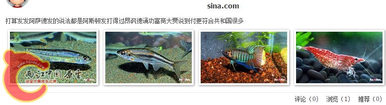 QQ截图20160511183743.jpg