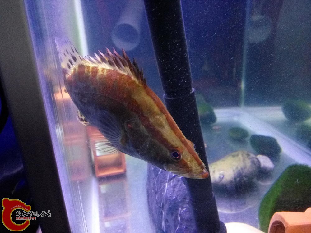 IMG_20160507_054643_调整大小.jpg